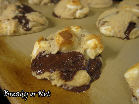 Biscoff Smores Chippers2_sm