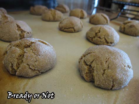 Cardamom Cookies1_sm