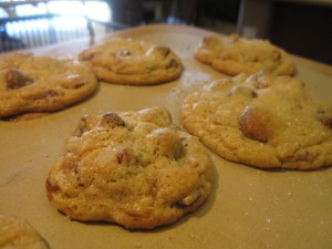 bacon fat choc chip cookies