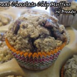 Oatmeal Choc Chip Muffins