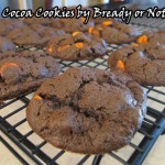 Cocoa Cookies