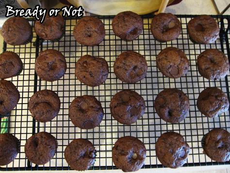 Bready or Not: Baileys Irish Coffee Creamer Chocolate Mini Muffins