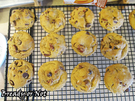 Bready or Not: Chocolate Chip Pecan Pumpkin Pudding Cookies 
