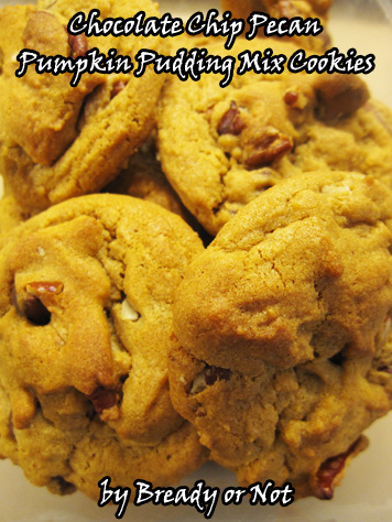 Bready or Not: Chocolate Chip Pecan Pumpkin Pudding Cookies 