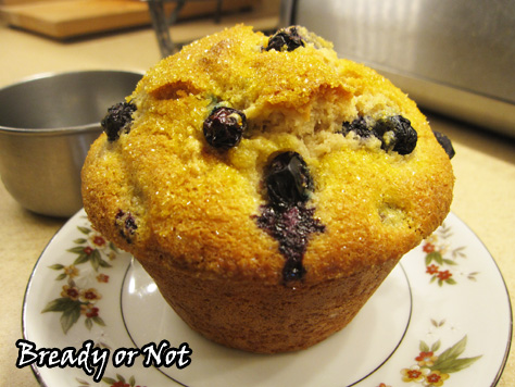 Bready or Not: Jumbo XXL Lemon-Blueberry Muffins 