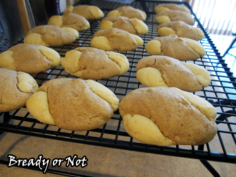 Bready or Not: Cinnamon Twist Cookies 
