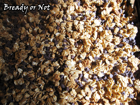 Bready or Not: Peanut Butter Chocolate Chip Granola 