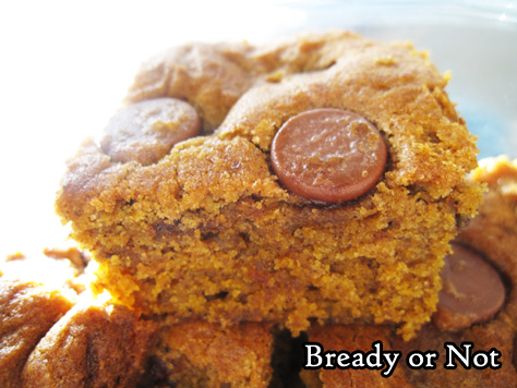 Bready or Not: Pumpkin Chocolate Chip Bars 