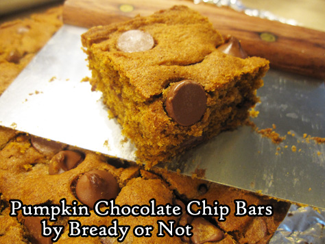 Bready or Not: Pumpkin Chocolate Chip Bars 