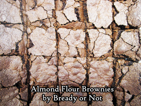 Bready or Not: Gluten-Free Almond Flour Brownies 