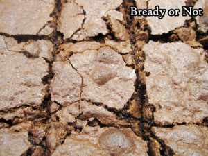 Bready or Not: Gluten-Free Almond Flour Brownies