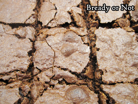 Bready or Not: Gluten-Free Almond Flour Brownies 