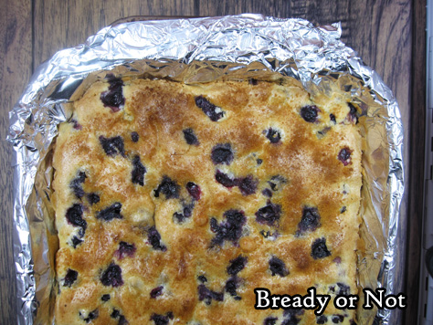 Bready or Not: Blueberry Hand Cake 