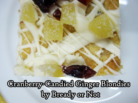 Bready or Not: Cranberry-Candied Ginger Blondies with Macadamia Nuts 