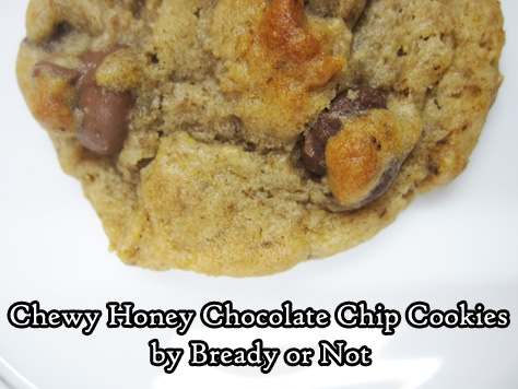 Bready or Not Original: Chewy Honey Chocolate Chip Cookies 