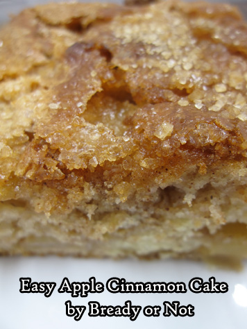 Bready or Not Original: Easy Apple Cinnamon Cake 
