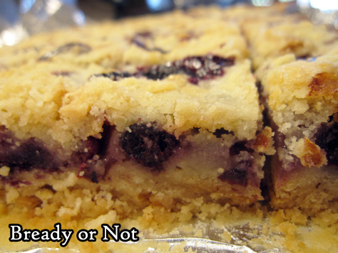 Bready or Not Original: Easy Blueberry Pie Bars 