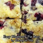 Bready or Not Original: Easy Blueberry Pie Bars