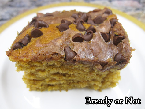 Bready or Not: Chocolate-Swirled Pumpkin Bars 