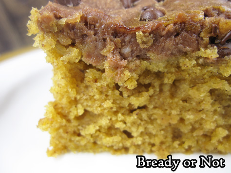 Bready or Not: Chocolate-Swirled Pumpkin Bars 