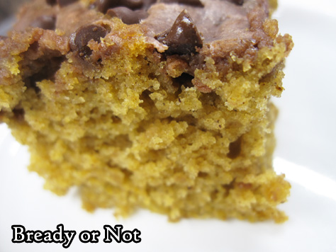 Bready or Not: Chocolate-Swirled Pumpkin Bars 