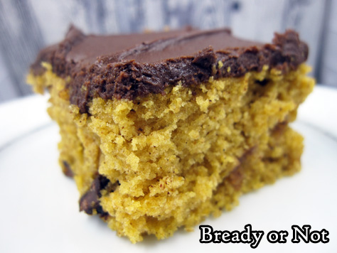 Bready or Not: Pumpkin Chocolate Chip Cake 