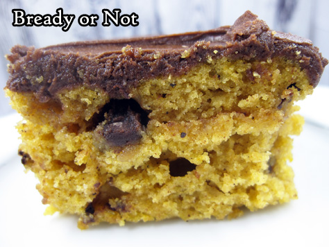 Bready or Not: Pumpkin Chocolate Chip Cake 