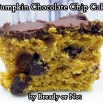 Bready or Not: Pumpkin Chocolate Chip Cake