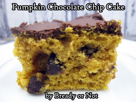 Bready or Not: Pumpkin Chocolate Chip Cake 