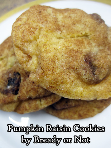 Bready or Not Original: Pumpkin Raisin Cookies