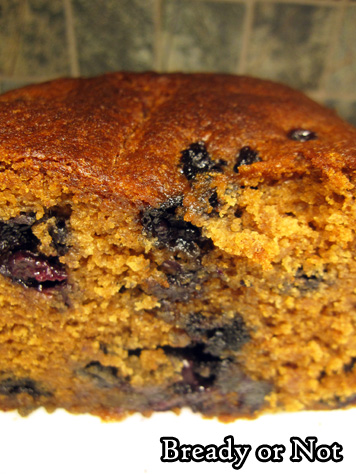 Bready or Not Original: Blueberry-Gingerbread Loaf 