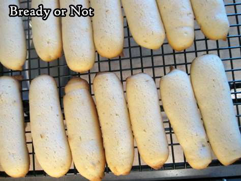 Bready or Not: Cat Tongue Cookies (Langues de Chat)