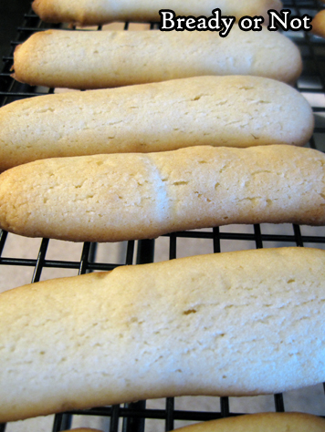 Bready or Not: Cat Tongue Cookies (Langues de Chat)