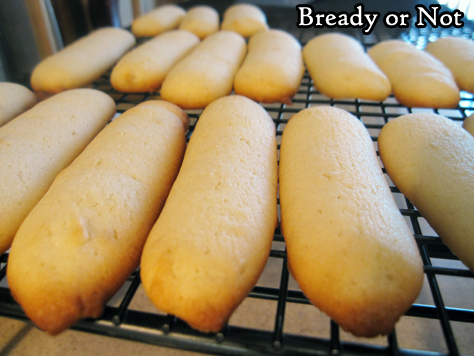 Bready or Not: Cat Tongue Cookies (Langues de Chat)