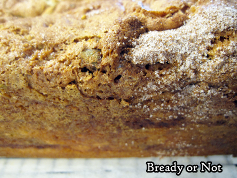 Bready or Not Original: Snickerdoodle Swirl Loaf 