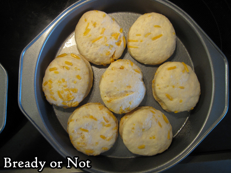 Bready or Not: Cheddar Beer Bread Rolls 