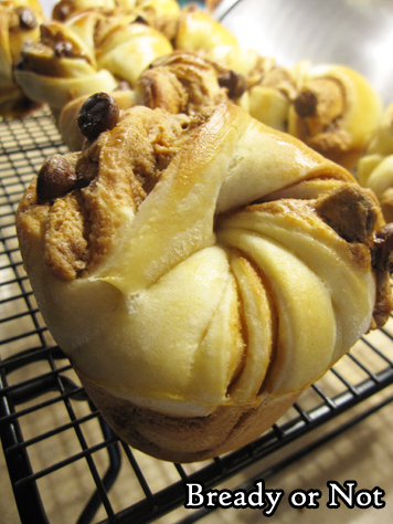 Bready or Not Original: Mini Cookie Butter-Chocolate Babkas 