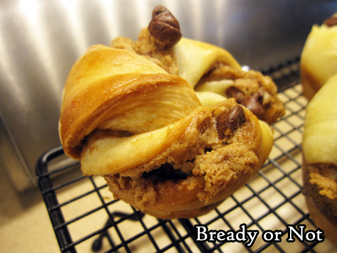 Bready or Not Original: Mini Cookie Butter-Chocolate Babkas 