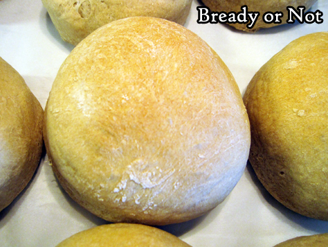 Bready or Not: Bread Machine Beer Bread Rolls