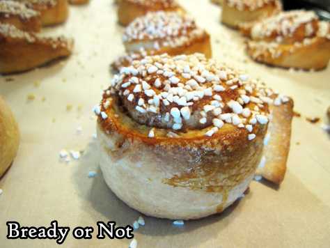 Bready or Not: Swedish Cinnamon Rolls in the Bread Machine 