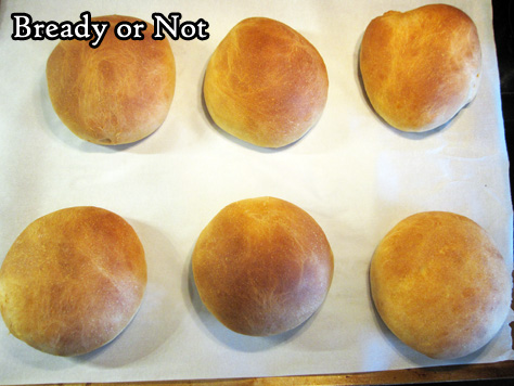 Bready or Not Original: Buttermilk Bread Rolls in the Bread Machine 