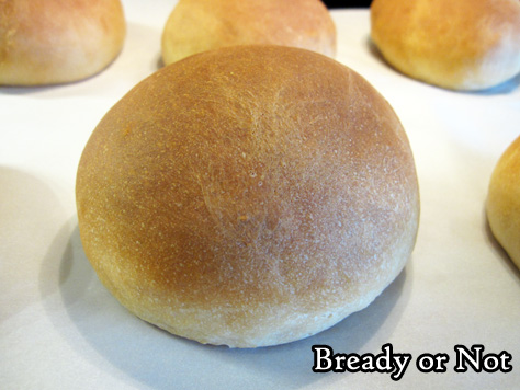 Bready or Not Original: Buttermilk Bread Rolls in the Bread Machine 