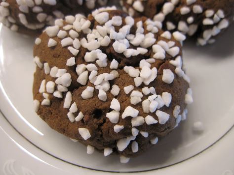 Bready or Not: Chocolate Gingerbread Cookies